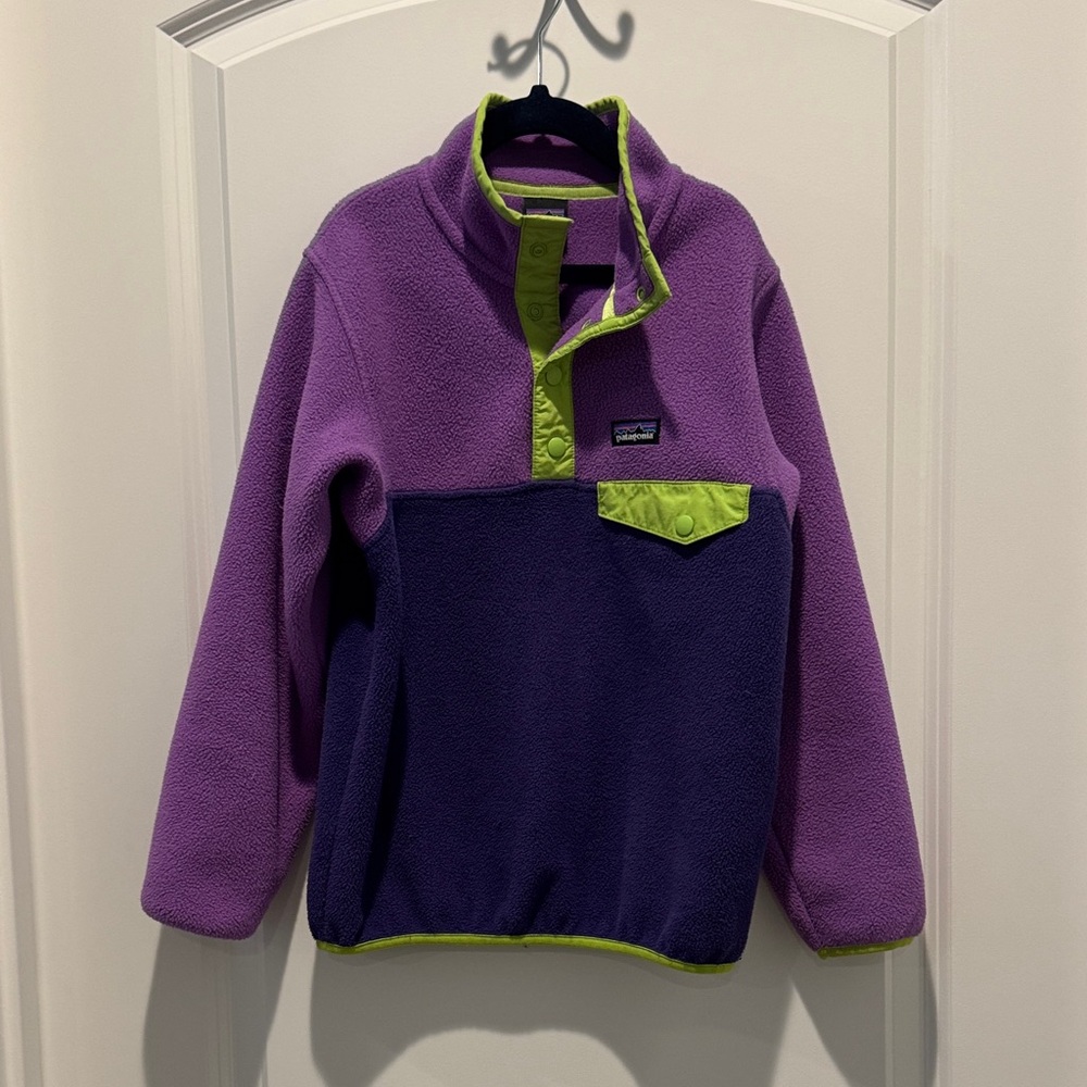 Patagonia Kids Fleece Hoodie in Purple and Green